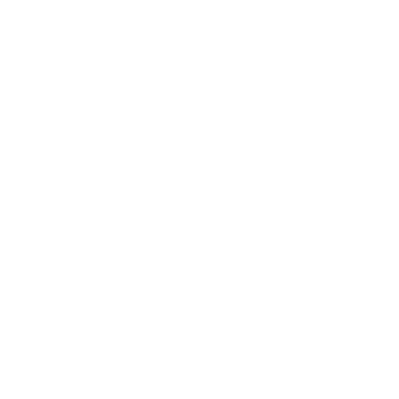 Neige Noire